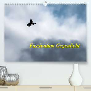 Faszination Gegenlicht (Premium, hochwertiger DIN A2 Wandkalender 2022, Kunstdruck in Hochglanz) von Martin (GDT),  Wilfried