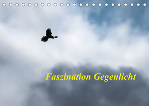Faszination Gegenlicht (Tischkalender 2022 DIN A5 quer) von Martin (GDT),  Wilfried