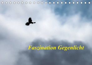 Faszination Gegenlicht (Tischkalender 2023 DIN A5 quer) von Martin (GDT),  Wilfried