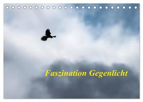 Faszination Gegenlicht (Tischkalender 2024 DIN A5 quer), CALVENDO Monatskalender von Martin (GDT),  Wilfried