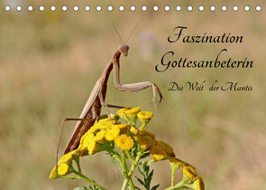 Faszination Gottesanbeterin – Die Welt der Mantis (Tischkalender 2022 DIN A5 quer) von juehust