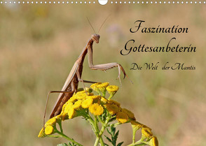 Faszination Gottesanbeterin – Die Welt der Mantis (Wandkalender 2022 DIN A3 quer) von juehust