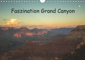 Faszination Grand Canyon / CH-Version (Wandkalender 2019 DIN A4 quer) von Potratz,  Andrea