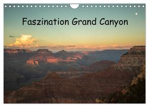 Faszination Grand Canyon / CH-Version (Wandkalender 2024 DIN A4 quer), CALVENDO Monatskalender von Potratz,  Andrea