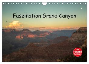 Faszination Grand Canyon (Wandkalender 2024 DIN A4 quer), CALVENDO Monatskalender von Potratz,  Andrea