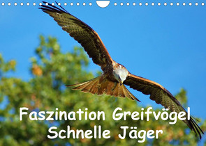 Faszination Greifvögel Schnelle Jäger (Wandkalender 2022 DIN A4 quer) von Klapp,  Lutz