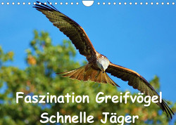 Faszination Greifvögel Schnelle Jäger (Wandkalender 2023 DIN A4 quer) von Klapp,  Lutz