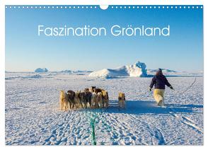 Faszination Grönland (Wandkalender 2024 DIN A3 quer), CALVENDO Monatskalender von Zwick,  Martin