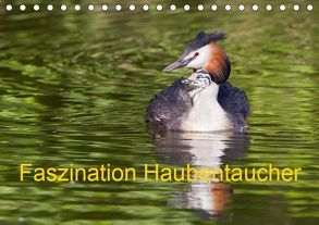 Faszination Haubentaucher (Tischkalender 2019 DIN A5 quer) von Martin,  Wilfried