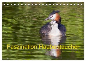 Faszination Haubentaucher (Tischkalender 2024 DIN A5 quer), CALVENDO Monatskalender von Martin,  Wilfried