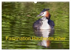 Faszination Haubentaucher (Wandkalender 2024 DIN A3 quer), CALVENDO Monatskalender von Martin,  Wilfried