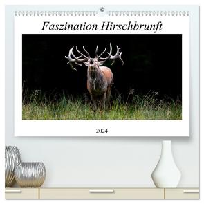 Faszination Hirschbrunft (hochwertiger Premium Wandkalender 2024 DIN A2 quer), Kunstdruck in Hochglanz von Fett,  Daniela