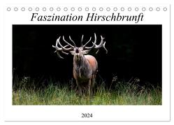 Faszination Hirschbrunft (Tischkalender 2024 DIN A5 quer), CALVENDO Monatskalender von Fett,  Daniela