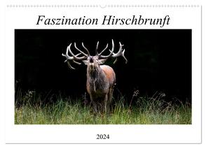 Faszination Hirschbrunft (Wandkalender 2024 DIN A2 quer), CALVENDO Monatskalender von Fett,  Daniela