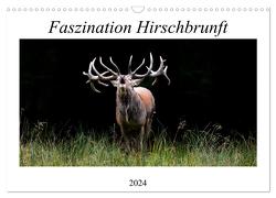 Faszination Hirschbrunft (Wandkalender 2024 DIN A3 quer), CALVENDO Monatskalender von Fett,  Daniela