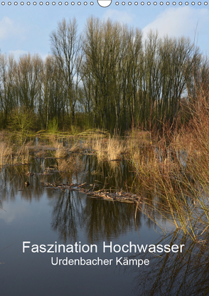 Faszination Hochwasser – Urdenbacher Kämpe (Wandkalender 2019 DIN A3 hoch) von Grobelny,  Renate