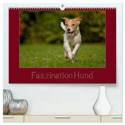 Faszination Hund (hochwertiger Premium Wandkalender 2024 DIN A2 quer), Kunstdruck in Hochglanz von Bischof,  Tierfotografie Bischof,  Melanie