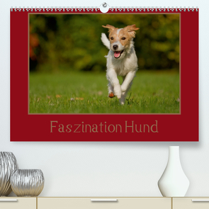 Faszination Hund (Premium, hochwertiger DIN A2 Wandkalender 2020, Kunstdruck in Hochglanz) von Bischof,  Melanie, Bischof,  Tierfotografie