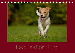 Faszination Hund (Tischkalender 2023 DIN A5 quer) von Bischof,  Melanie, Bischof,  Tierfotografie