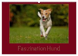 Faszination Hund (Wandkalender 2024 DIN A2 quer), CALVENDO Monatskalender von Bischof,  Tierfotografie Bischof,  Melanie