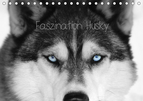 Faszination Husky (Tischkalender 2020 DIN A5 quer) von Snow Wolf Valley,  of