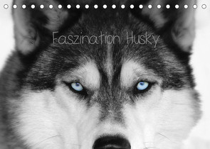 Faszination Husky (Tischkalender 2022 DIN A5 quer) von Snow Wolf Valley,  of