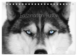 Faszination Husky (Tischkalender 2024 DIN A5 quer), CALVENDO Monatskalender von Snow Wolf Valley,  of