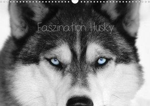 Faszination Husky (Wandkalender 2022 DIN A3 quer) von Snow Wolf Valley,  of