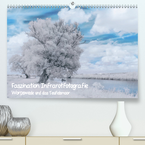 Faszination Infrarotfotografie (Premium, hochwertiger DIN A2 Wandkalender 2021, Kunstdruck in Hochglanz) von Arndt,  Maren