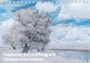 Faszination Infrarotfotografie (Tischkalender 2020 DIN A5 quer) von Arndt,  Maren