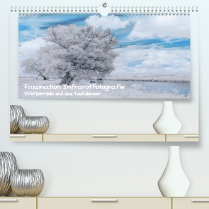 Faszination Infrarotfotografie (Premium, hochwertiger DIN A2 Wandkalender 2020, Kunstdruck in Hochglanz) von Arndt,  Maren