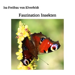 Faszination Insekten von Freifrau von Elverfeldt,  Isa