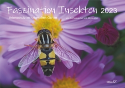 Faszination Insekten von Zerr,  Katharina, Zerr,  Sibylle
