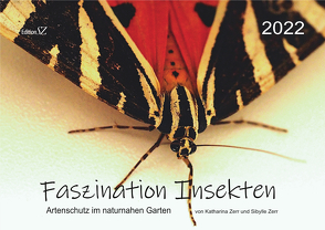 Faszination Insekten von Zerr,  Katharina, Zerr,  Sibylle