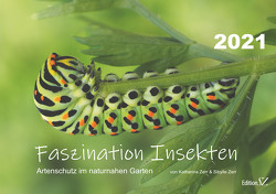 Faszination Insekten von Zerr,  Katharina, Zerr,  Sibylle