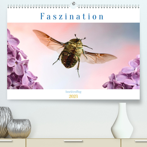 Faszination Insektenflug (Premium, hochwertiger DIN A2 Wandkalender 2023, Kunstdruck in Hochglanz) von Skonieczny,  André