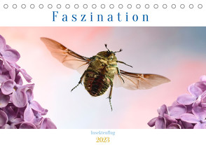 Faszination Insektenflug (Tischkalender 2023 DIN A5 quer) von Skonieczny,  André