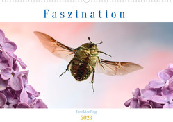 Faszination Insektenflug (Wandkalender 2023 DIN A2 quer) von Skonieczny,  André
