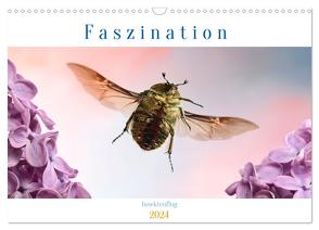 Faszination Insektenflug (Wandkalender 2024 DIN A3 quer), CALVENDO Monatskalender von Skonieczny,  André