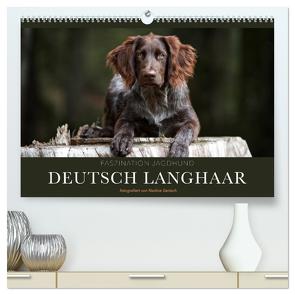 Faszination Jagdhund – Deutsch Langhaar (hochwertiger Premium Wandkalender 2024 DIN A2 quer), Kunstdruck in Hochglanz von Gerlach,  Nadine