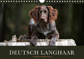 Faszination Jagdhund – Deutsch Langhaar (Wandkalender 2020 DIN A4 quer) von Gerlach,  Nadine