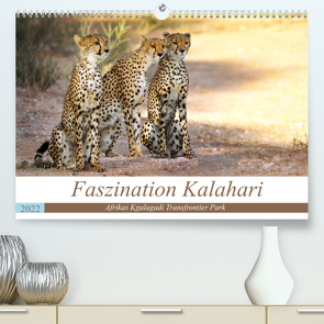 Faszination Kalahari (Premium, hochwertiger DIN A2 Wandkalender 2022, Kunstdruck in Hochglanz) von Woyke,  Wibke