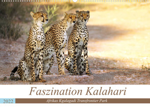 Faszination Kalahari (Wandkalender 2022 DIN A2 quer) von Woyke,  Wibke