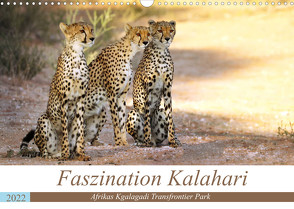 Faszination Kalahari (Wandkalender 2022 DIN A3 quer) von Woyke,  Wibke