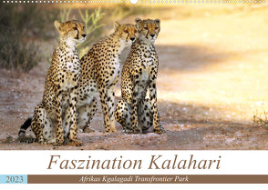 Faszination Kalahari (Wandkalender 2023 DIN A2 quer) von Woyke,  Wibke