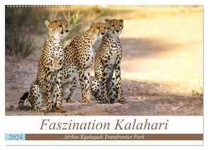 Faszination Kalahari (Wandkalender 2024 DIN A2 quer), CALVENDO Monatskalender von Woyke,  Wibke