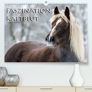 Faszination Kaltblut (Premium, hochwertiger DIN A2 Wandkalender 2022, Kunstdruck in Hochglanz) von Dünisch - www.Ramona-Duenisch.de,  Ramona
