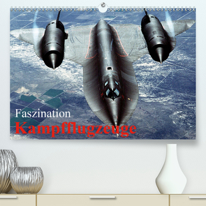 Faszination Kampfflugzeuge (Premium, hochwertiger DIN A2 Wandkalender 2020, Kunstdruck in Hochglanz) von Stanzer,  Elisabeth