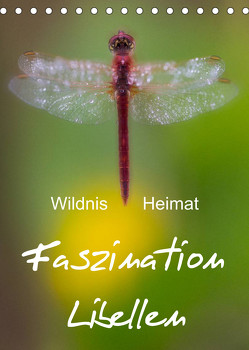 Faszination Libellen – Wildnis Heimat (Tischkalender 2023 DIN A5 hoch) von BÖHME,  Ferry