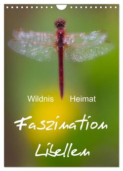 Faszination Libellen – Wildnis Heimat (Wandkalender 2024 DIN A4 hoch), CALVENDO Monatskalender von BÖHME,  Ferry